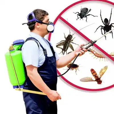 pest control Cooperstown